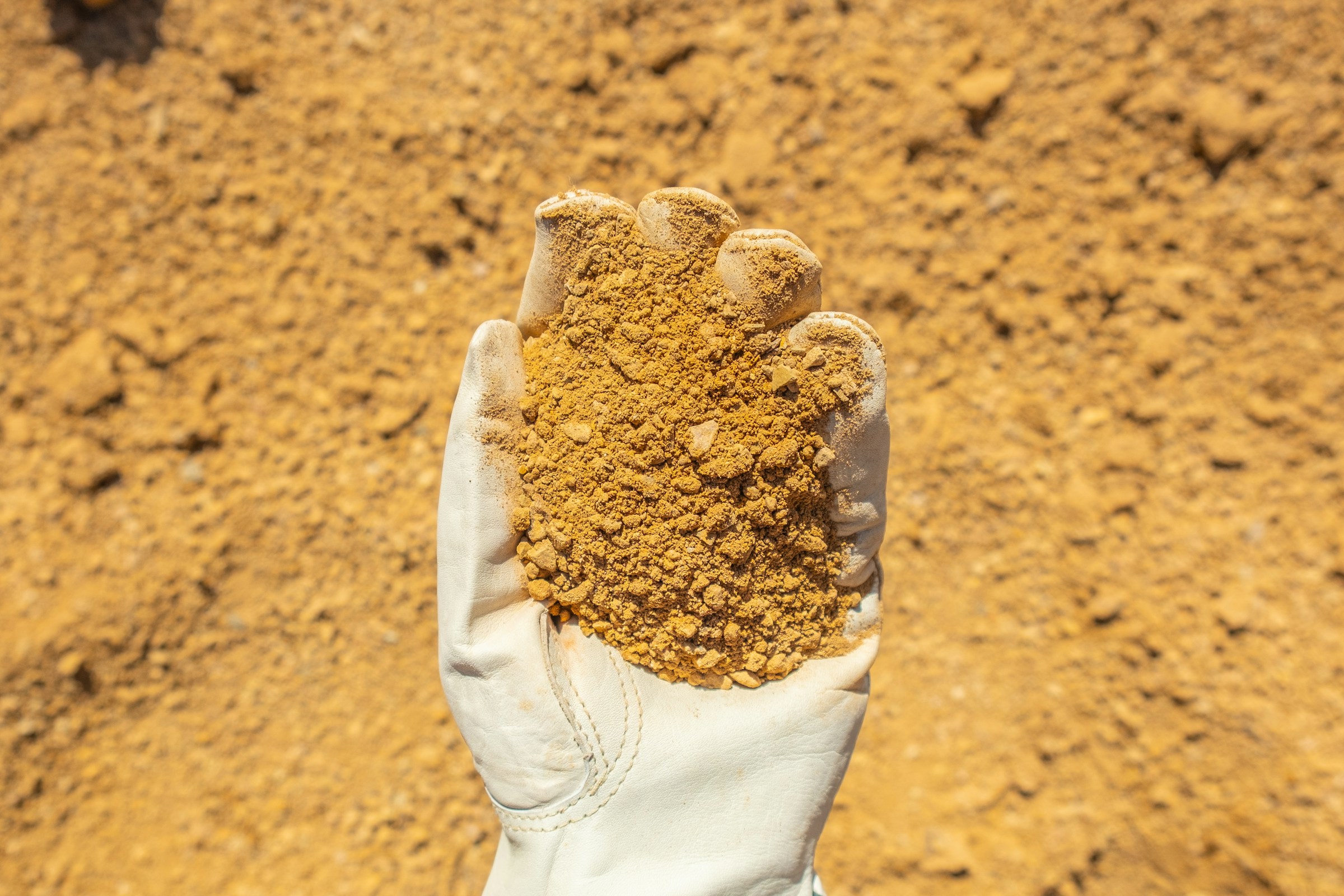 Gold Dust